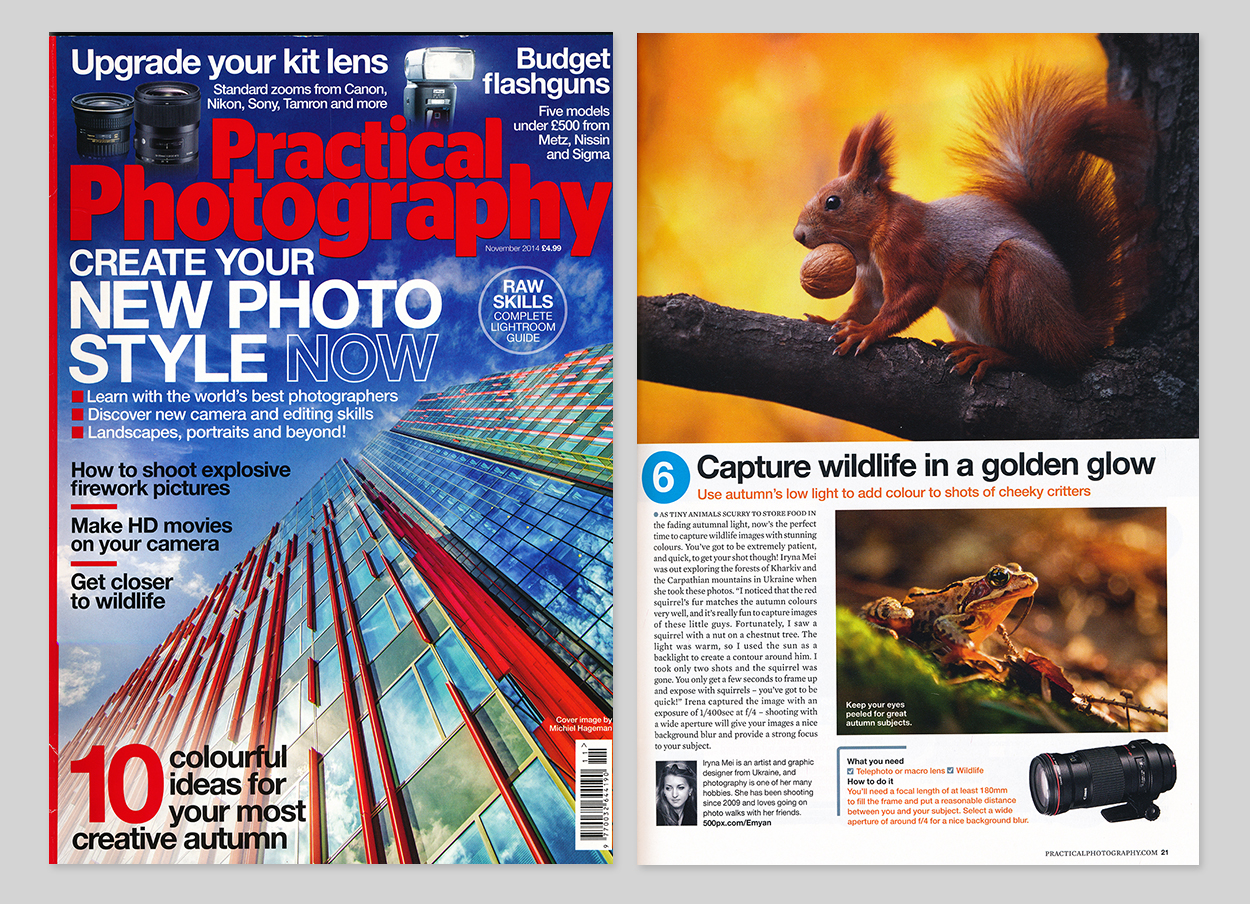 Practical Photography November 2014 &ldquo;Wildlife in golden light&rdquo;