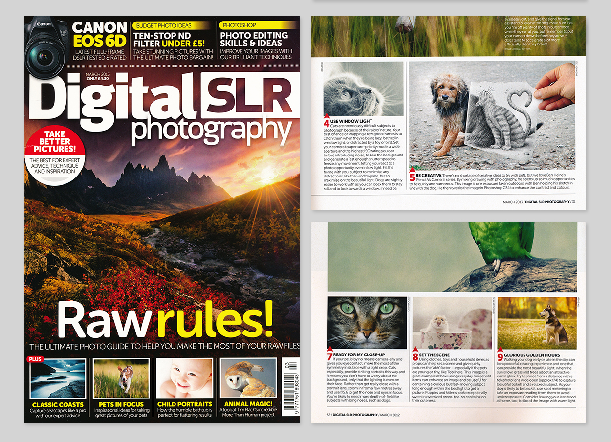 Digital SLR Photography (UK) March 2013 &ldquo;Pets in focus&rdquo;