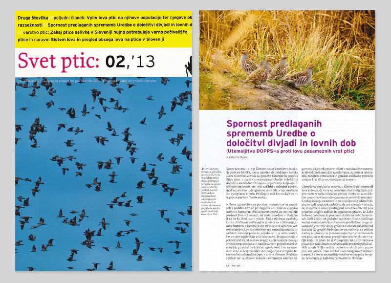 Svet Ptic February 2013